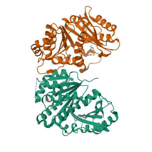 Structure 14VQ
