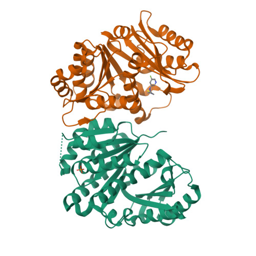 Structure 14VY