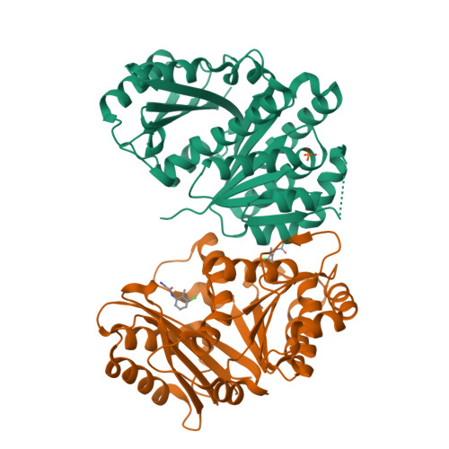 Structure 14WA