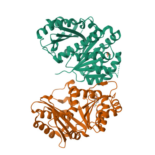 Structure 14XV