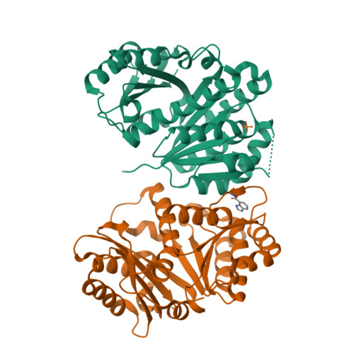 Structure 14YP