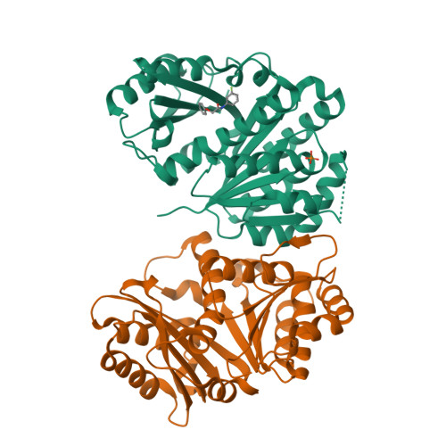 Structure 14YS