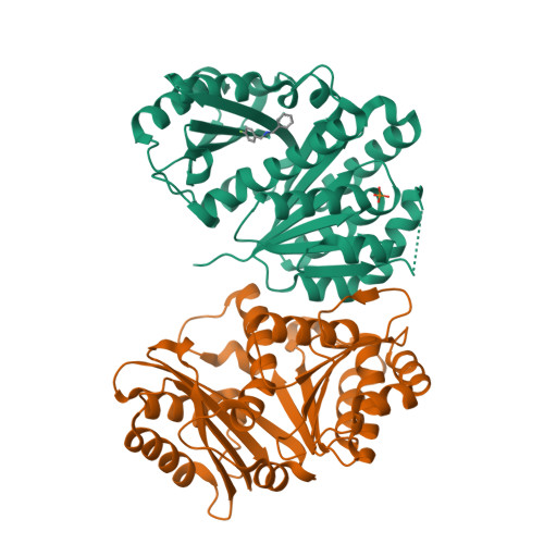 Structure 14YW