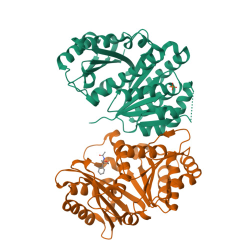 Structure 14YX
