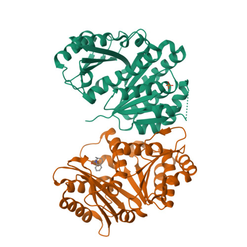 Structure 14ZH