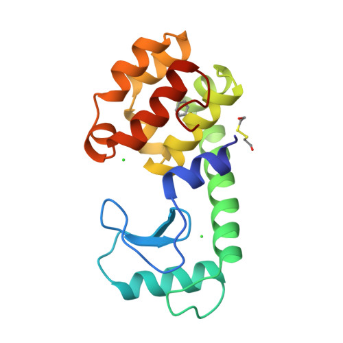 Rcsb Pdb - 181l: Specificity Of Ligand Binding In A Buried Non-polar 