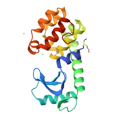 RCSB PDB - 191L: A HELIX INITIATION SIGNAL IN T4 LYSOZYME IDENTIFIED BY ...