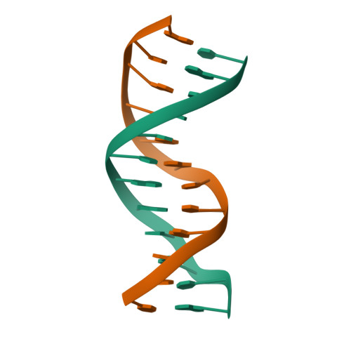 RCSB PDB - 194D: X-RAY STRUCTURES OF THE B-DNA DODECAMER D(CGCGTTAACGCG ...