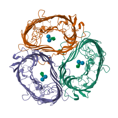 RCSB PDB - 1A0T: SUCROSE-SPECIFIC PORIN, WITH BOUND SUCROSE MOLECULES