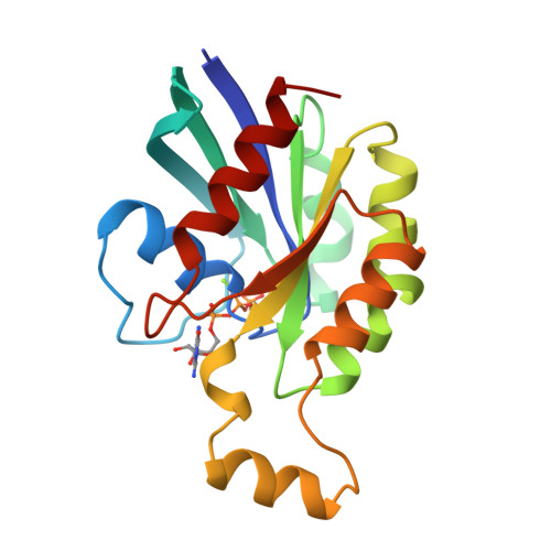 Rcsb Pdb - 1a2b: Human Rhoa Complexed With Gtp Analogue