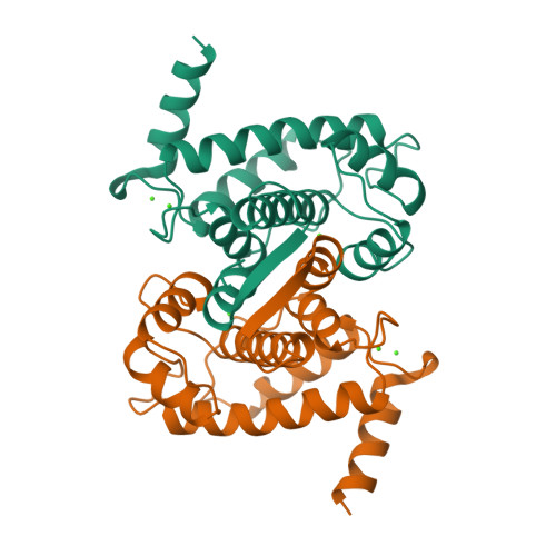 CAL VIVA BOLSA 1 KG. – Elproin