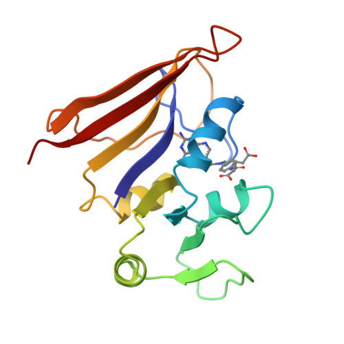 Dihydrofolate reductase structure