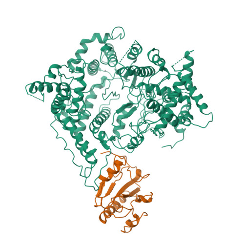 Rcsb Pdb 1aro T7 Rna Polymerase Complexed With T7 Lysozyme 3542