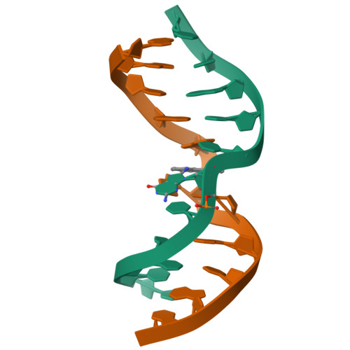 Rcsb Pdb Axu Solution Nmr Structure Of The Ap Dg Adduct Opposite