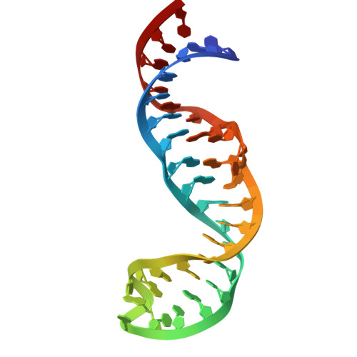 RCSB PDB - 1B36: SOLUTION STRUCTURE OF THE HAIRPIN RIBOZYME LOOP B ...