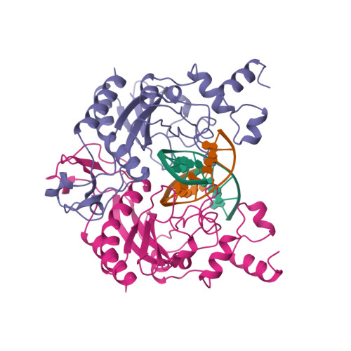RCSB PDB - 1B97: ANALYSIS OF A MUTATIONAL HOT-SPOT IN THE ECORV RESTRICTION  ENDONUCLEASE: A CATALYTIC ROLE FOR A MAIN CHAIN CARBONYL GROUP