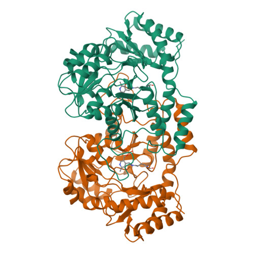 Biological Assembly 1