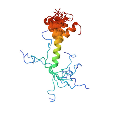 PDB-101: Molecule of the Month: Amyloids