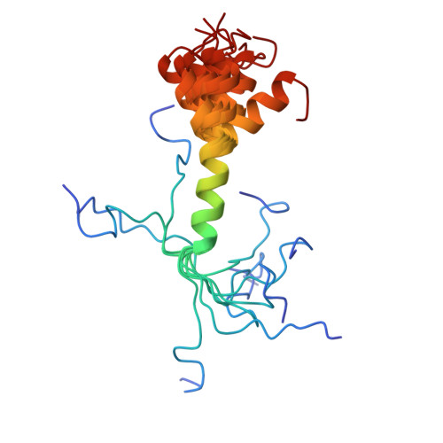 PDB-101: Molecule of the Month: Amyloids