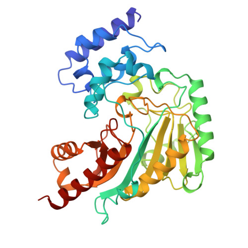 structure of arginine