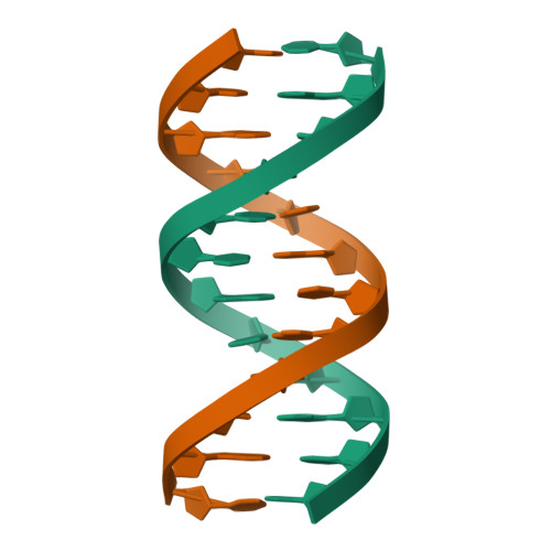 RCSB PDB - 1BJD: SOLUTION STRUCTURE OF A DNA DODECAMER CONTAINING ...