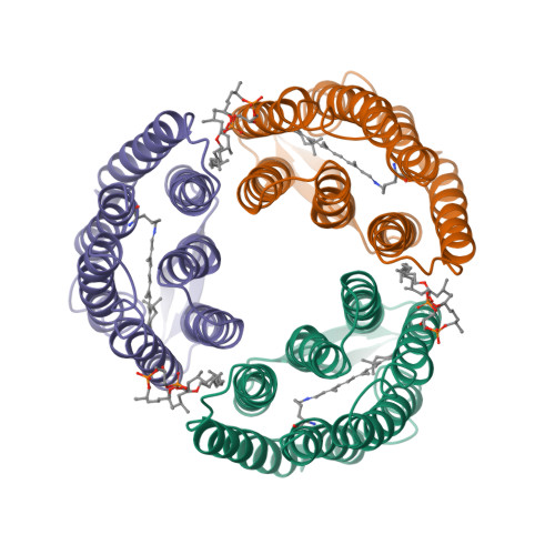 RCSB PDB - 1BM1: CRYSTAL STRUCTURE OF BACTERIORHODOPSIN IN THE LIGHT ...