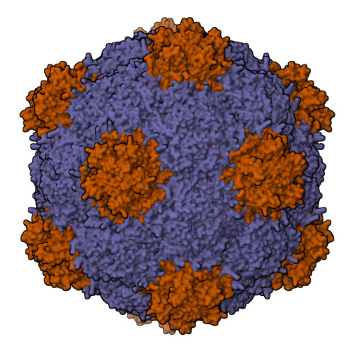 RCSB PDB - 1BMV: PROTEIN-RNA INTERACTIONS IN AN ICOSAHEDRAL VIRUS AT 3. ...