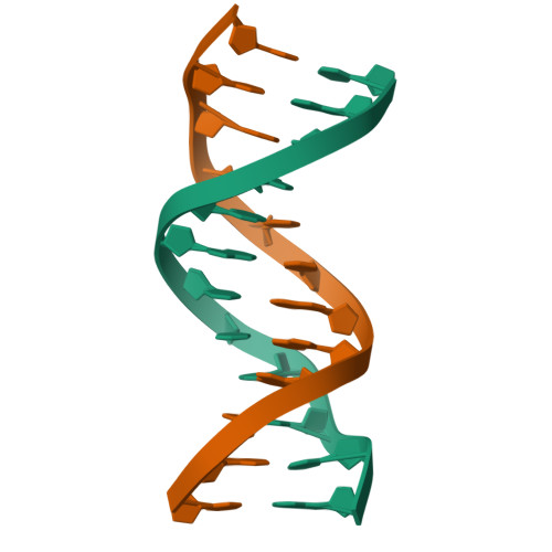 RCSB PDB - 1BNA: STRUCTURE OF A B-DNA DODECAMER. CONFORMATION AND DYNAMICS