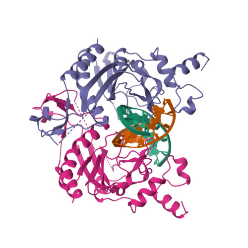 RCSB PDB - 1BUA: STRUCTURAL AND ENERGETIC ORIGINS OF INDIRECT READOUT ...