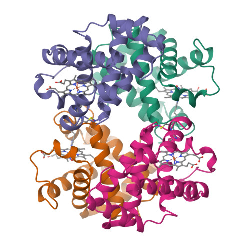 RCSB PDB - 1BUW: CRYSTAL STRUCTURE OF S-NITROSO-NITROSYL HUMAN HEMOGLOBIN A