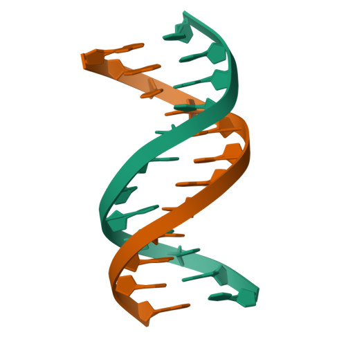 RCSB PDB - 1BW7: SOLUTION STRUCTURE OF A DNA DUPLEX CONTAINING A ...
