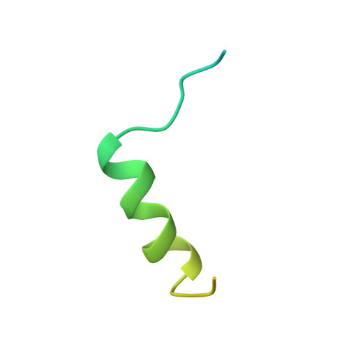 Sodium channel protein type 2 subunit alpha structure
