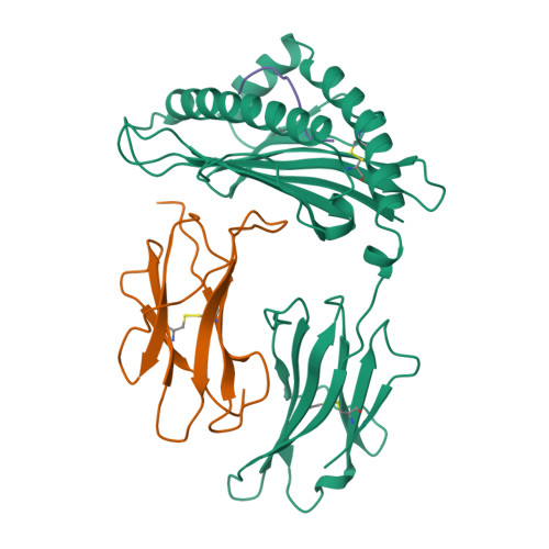 RCSB PDB - 1BZ9: CRYSTAL STRUCTURE OF MURINE CLASS I MHC H2-DB 