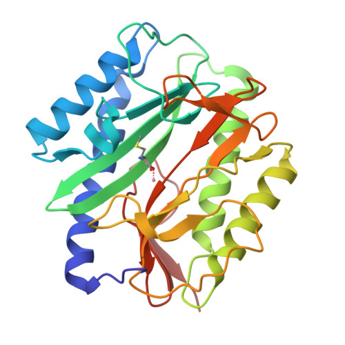 RCSB PDB - 1C21: E. COLI METHIONINE AMINOPEPTIDASE: METHIONINE COMPLEX