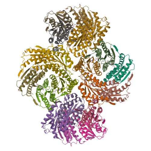 Rcsb Pdb C Y Crystal Structures Of A Pentameric Fungal And An Icosahedral Plant Lumazine