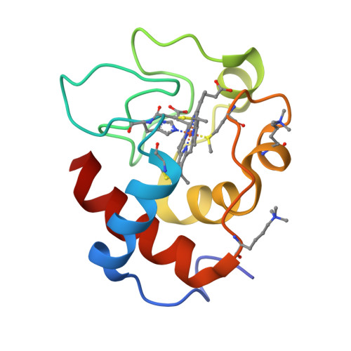 RCSB PDB - 1CCR: STRUCTURE OF RICE FERRICYTOCHROME C AT 2.0 ANGSTROMS ...