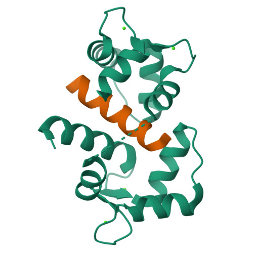 Calcium/calmodulin-dependent protein kinase type II subunit alpha structure