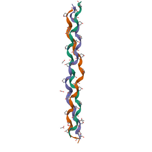 Rcsb Pdb 1cgd Hydration Structure Of A Collagen Peptide