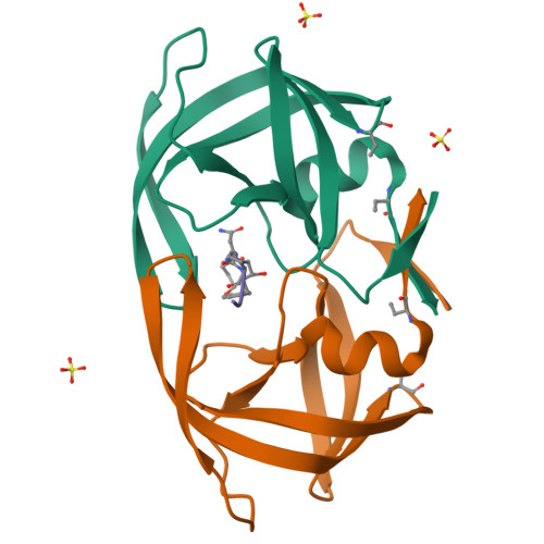 Rcsb Pdb Cpi Regioselective Structural And Functional Mimicry Of