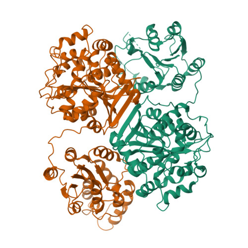 Bifunctional epoxide hydrolase 2 structure