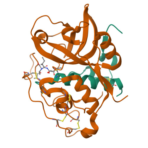 RCSB PDB - 1CSB: Crystal Structure Of Cathepsin B Inhibited With CA030 ...