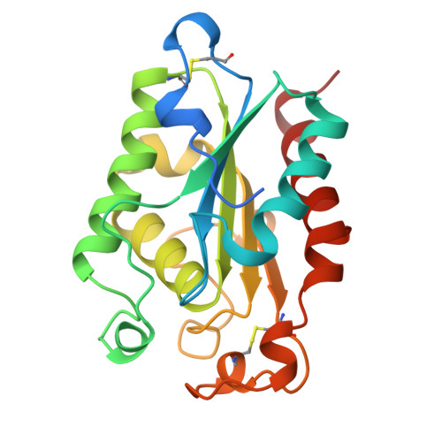 RCSB PDB - 1CUB: CUTINASE, N172K, R196D MUTANT, MONOCLINIC CRYSTAL FORM