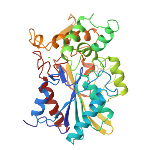 RCSB PDB - 1CVL: CRYSTAL STRUCTURE OF BACTERIAL LIPASE FROM ...