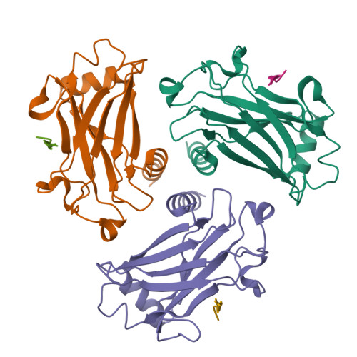 RCSB PDB - 1D0A: STRUCTURE OF TNF RECEPTOR ASSOCIATED FACTOR 2 (TRAF2 ...