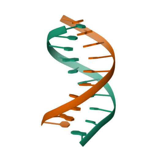 RCSB PDB - 1D20: SOLUTION STRUCTURE OF PHAGE LAMBDA HALF-OPERATOR DNA