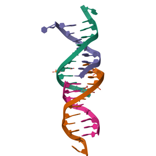 Genetic code - Wikipedia