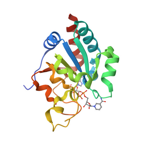 Rcsb Pdb - 1d4o: Crystal Structure Of Transhydrogenase Domain Iii At 1. 