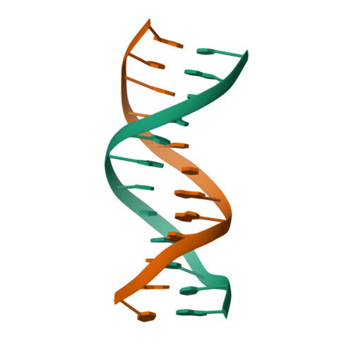 RCSB PDB - 1D65: MOLECULAR STRUCTURE OF THE B-DNA DODECAMER D ...