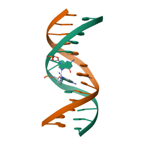 RCSB PDB - 1DA5: Solution structure of a DNA Duplex containing the CIS ...