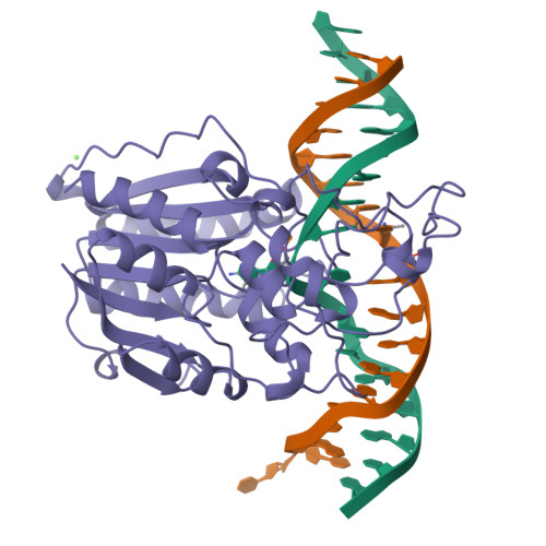 cytosine dna